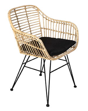 Rattanstühle 1 Rattanstühle mit Armlehne